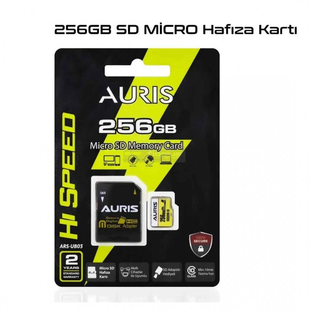 Auris 256GB Hafıza Kartı