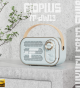 مكبر صوت بلوتوث فاخر من Fioplus FP-DW13 بتصميم كلاسيكي